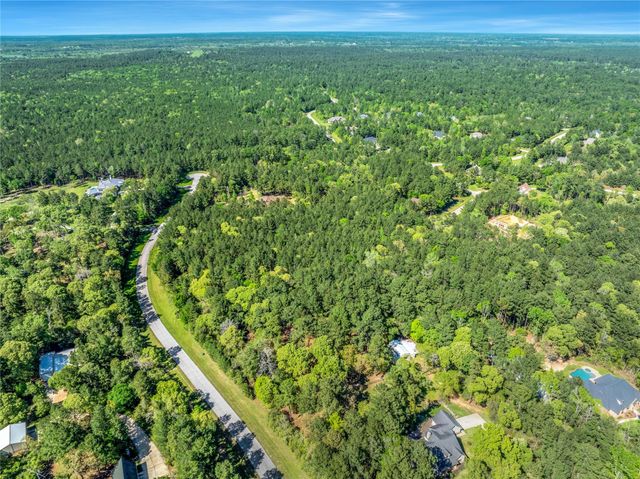 12627 Shady Wds Trail, Montgomery, TX 77316