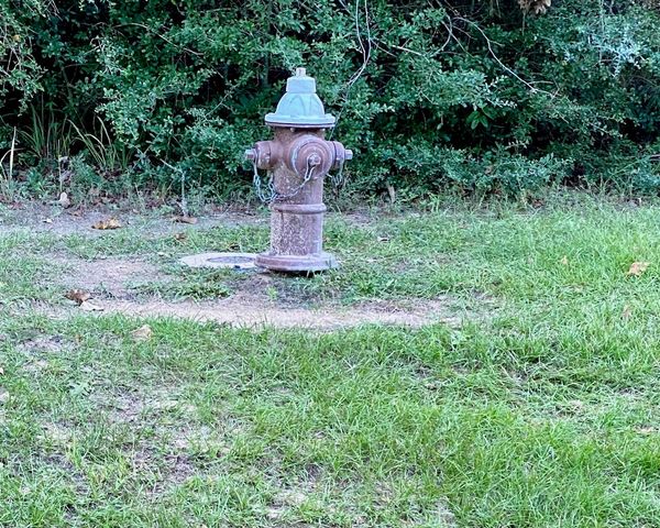 12627 Shady Wds Trail, Montgomery, TX 77316