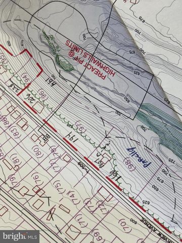 194 PARK VIEW AVE, Lewistown, PA 17044