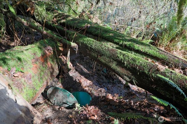 26663 Big Valley Road NE, Poulsbo, WA 98370