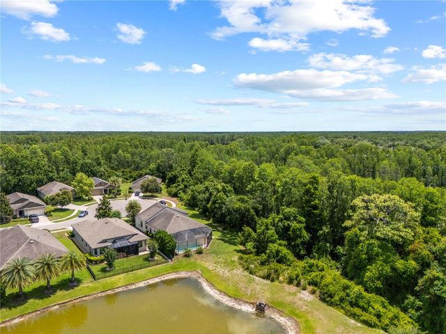 8538 MAY PORT COURT, Land O Lakes, FL 34638