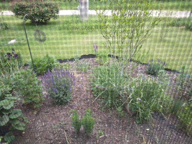 14 S 5th Street, Hinton Twp, MI 49336