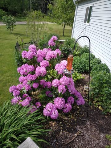 14 S 5th Street, Hinton Twp, MI 49336