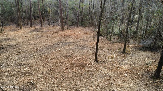 Lot 8 Hoda Road, Kiln, MS 39556
