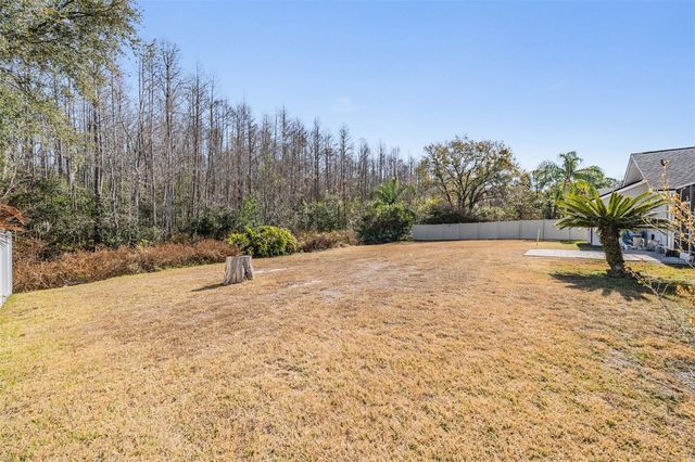 6504 THOROUGHBRED LOOP, Odessa, FL 33556