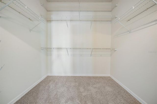 6504 THOROUGHBRED LOOP, Odessa, FL 33556