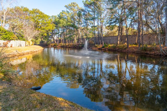 2079 Emerald Terrace, Mount Pleasant, SC 29464