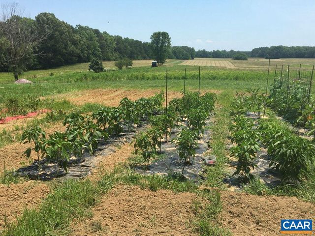 877 HOLLAND CREEK RD, Louisa, VA 23093