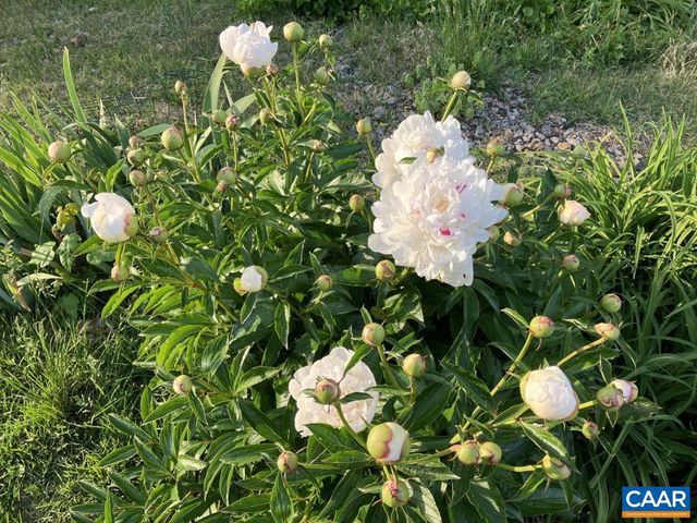 877 HOLLAND CREEK RD, Louisa, VA 23093