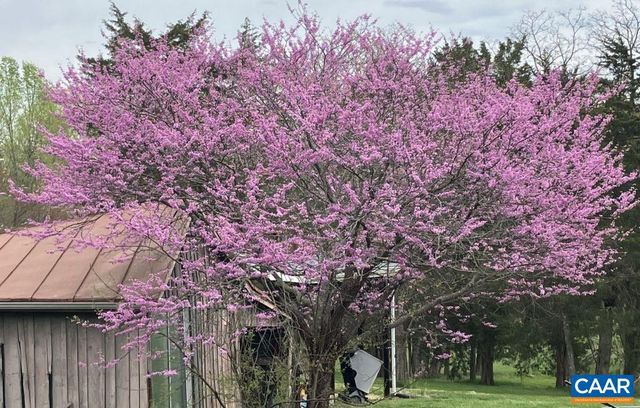 877 HOLLAND CREEK RD, Louisa, VA 23093