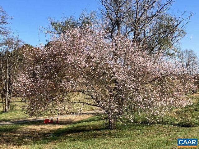 877 HOLLAND CREEK RD, Louisa, VA 23093