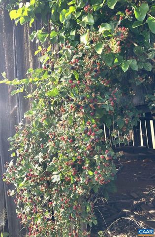 877 HOLLAND CREEK RD, Louisa, VA 23093