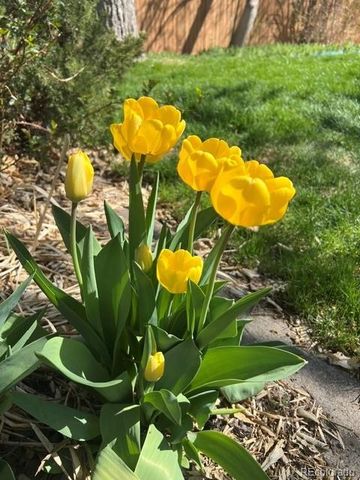 5458 S Knox Court, Littleton, CO 80123