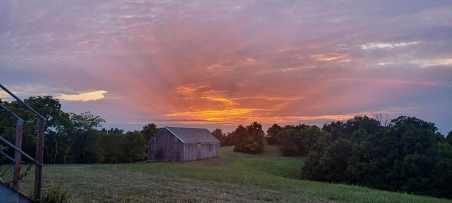 2294 Mudlick Rd Road, Cynthiana, KY 41031