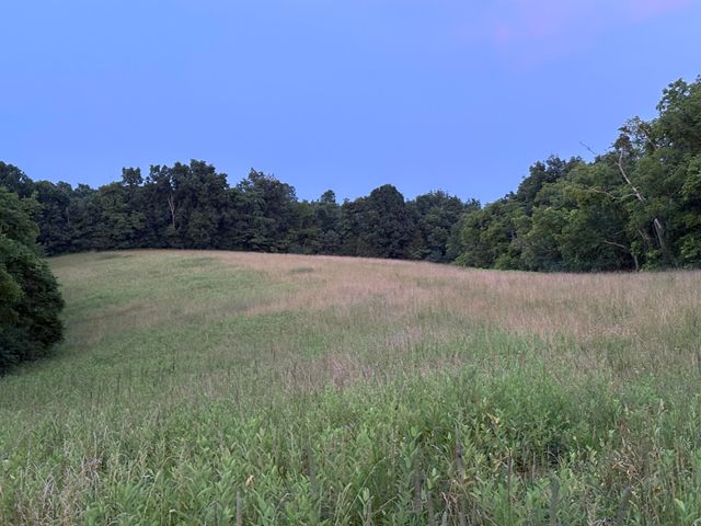 2294 Mudlick Rd Road, Cynthiana, KY 41031