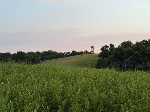 2294 Mudlick Rd Road, Cynthiana, KY 41031