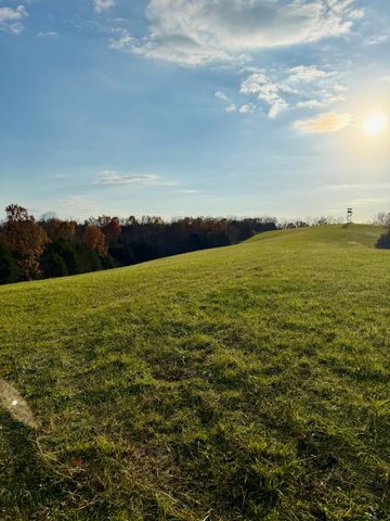 2294 Mudlick Rd Road, Cynthiana, KY 41031