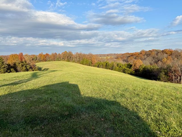 2294 Mudlick Rd Road, Cynthiana, KY 41031