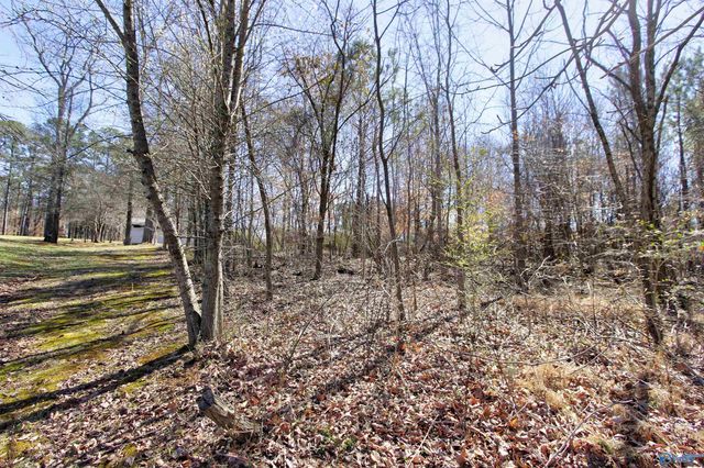 15277 Sanderson Road, Harvest, AL 35749