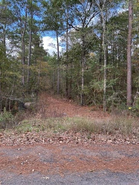 4807 Cathey Lane, Navasota, TX 77868