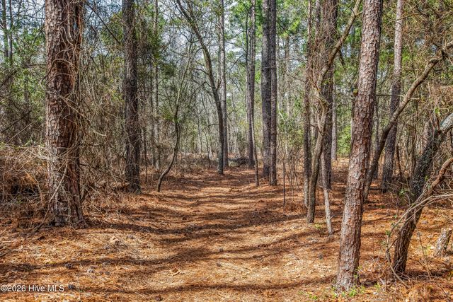 526 Springhill Church Road, Hamlet, NC 28345