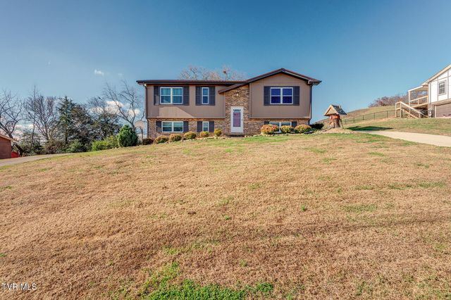 225 Plainview Heights Circle, Greeneville, TN 37745