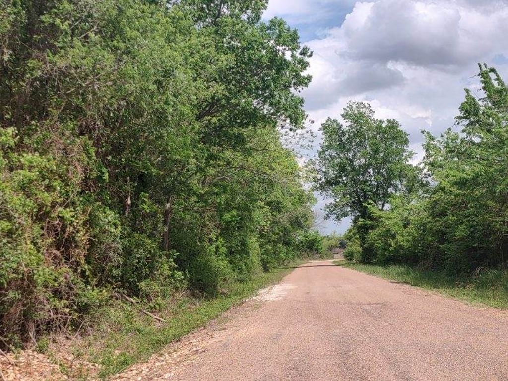 TBD CR 328, Tract 7 and Tract 8 ACRES 21, Caldwell, TX 77836 — photo 4