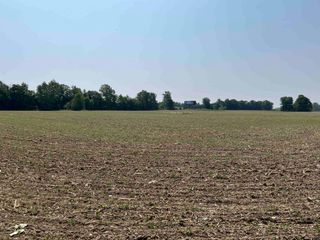 4442 Wilson Road, Clio, MI 48420