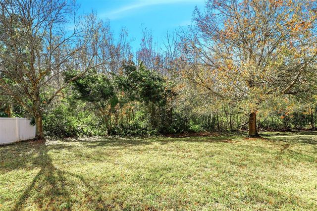 16368 TUDOR GROVE DRIVE, Orlando, FL 32828