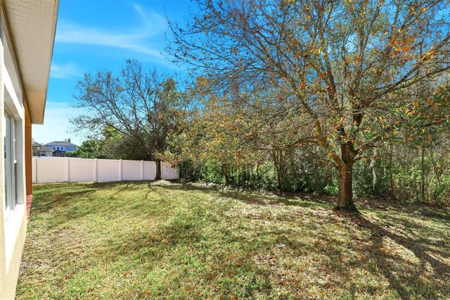 16368 TUDOR GROVE DRIVE, Orlando, FL 32828