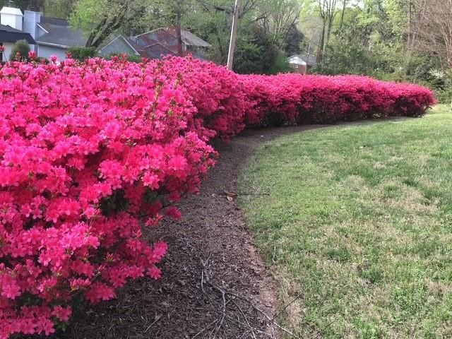 600 Densley Drive, Decatur, GA 30033
