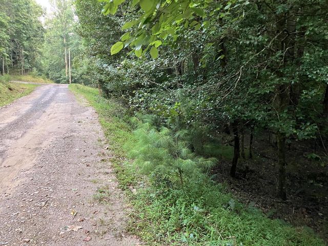 LT35 TR2 Scenic Drive, Hayesville, NC 28904
