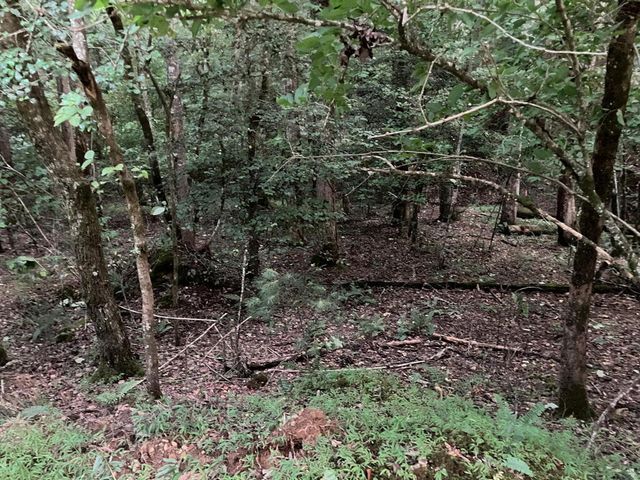 LT35 TR2 Scenic Drive, Hayesville, NC 28904