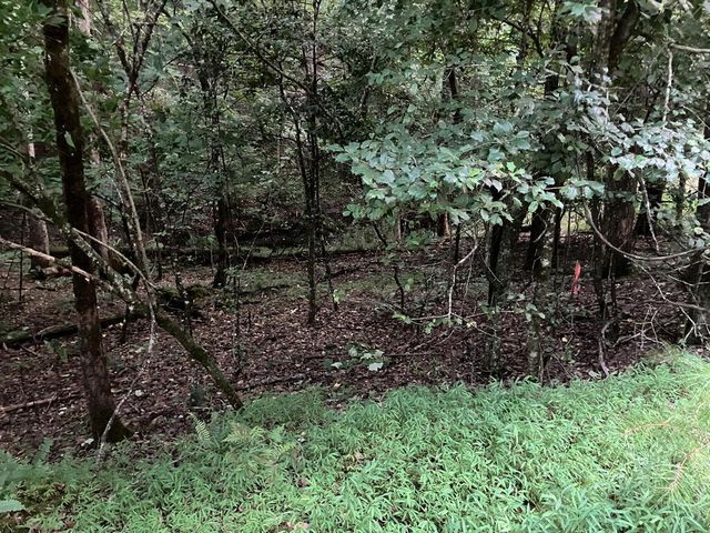 LT35 TR2 Scenic Drive, Hayesville, NC 28904