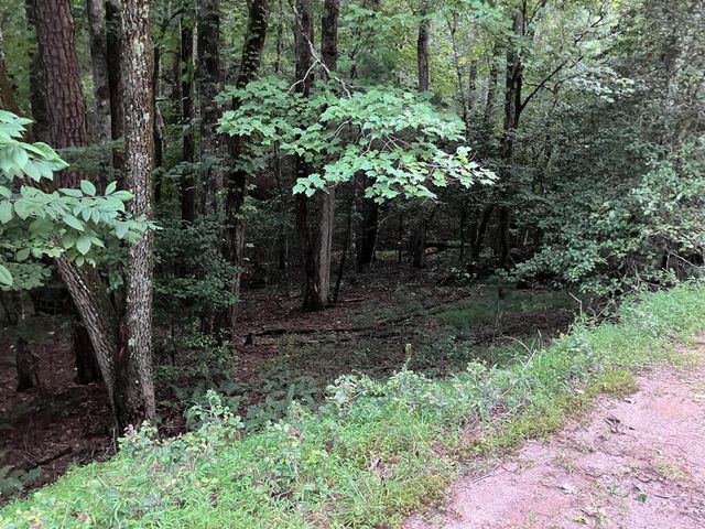 LT35 TR2 Scenic Drive, Hayesville, NC 28904