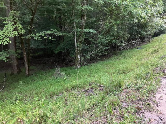 LT35 TR2 Scenic Drive, Hayesville, NC 28904