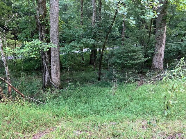 LT35 TR2 Scenic Drive, Hayesville, NC 28904