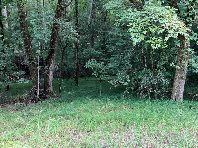 LT35 TR2 Scenic Drive, Hayesville, NC 28904