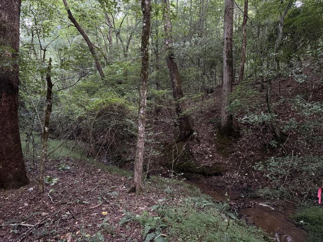 LT35 TR2 Scenic Drive, Hayesville, NC 28904