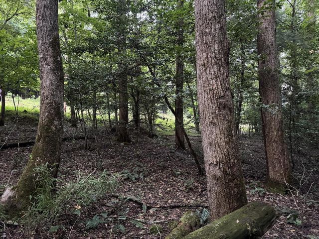 LT35 TR2 Scenic Drive, Hayesville, NC 28904