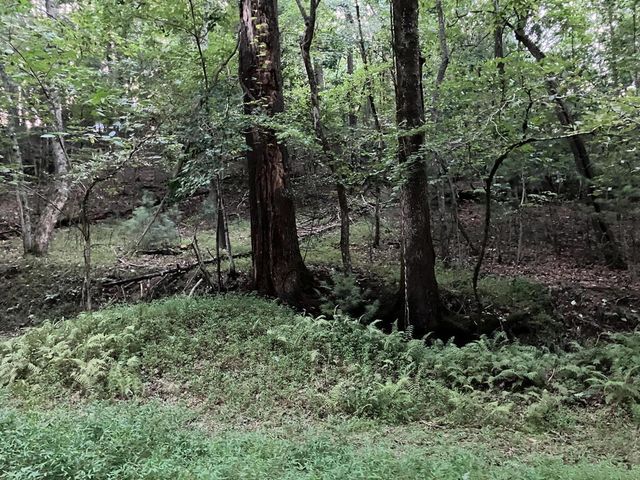 LT35 TR2 Scenic Drive, Hayesville, NC 28904