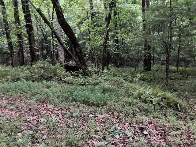 LT35 TR2 Scenic Drive, Hayesville, NC 28904