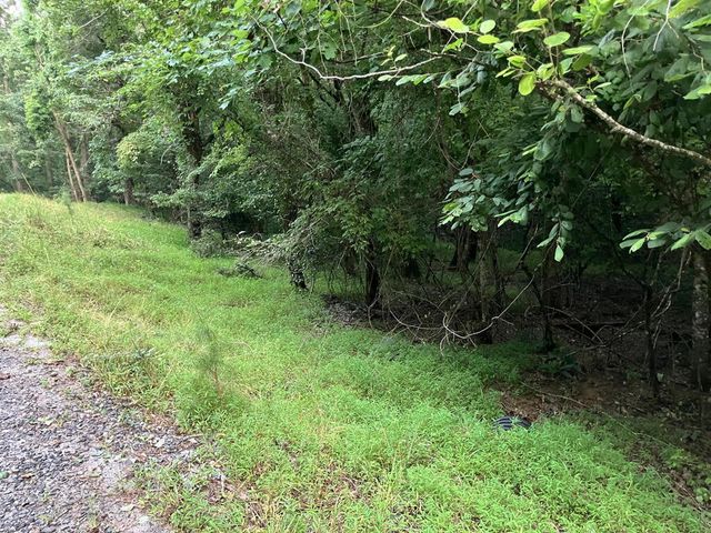 LT35 TR2 Scenic Drive, Hayesville, NC 28904