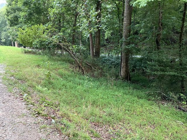 LT35 TR2 Scenic Drive, Hayesville, NC 28904