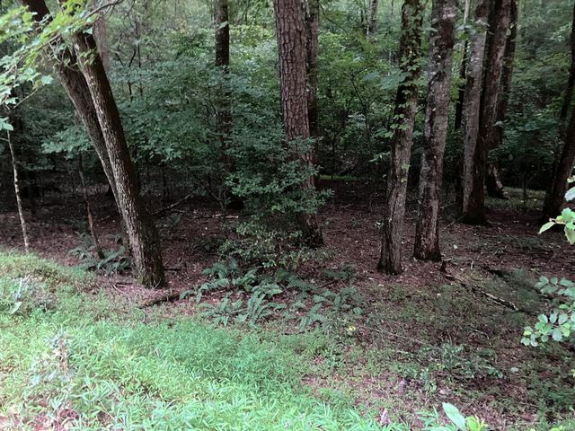 LT35 TR2 Scenic Drive, Hayesville, NC 28904