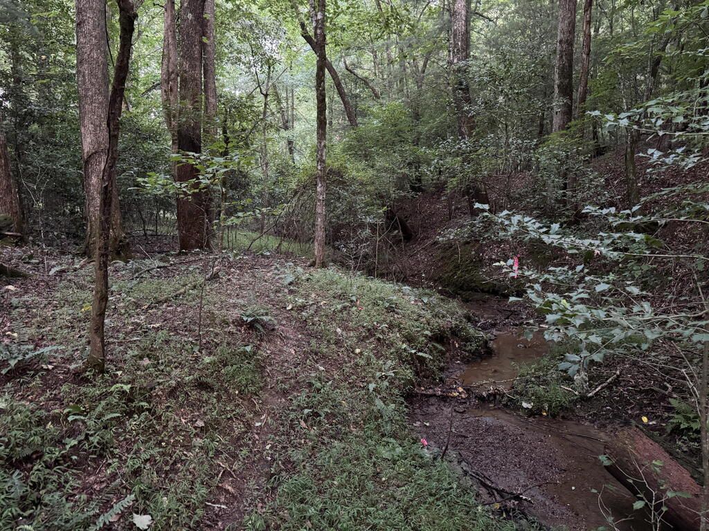 LT35 TR2 Scenic Drive, Hayesville, NC 28904