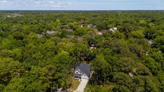 696 Eagle Street, Mount Pleasant, SC 29464