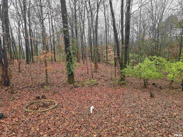 567 UNION GROVE Road, Carbondale, IL 62901