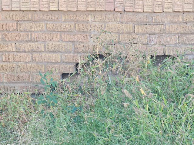 1710 Avenue O, Lubbock, TX 79401