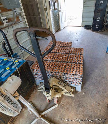 4408 County Road 7480, West Plains, MO 65775